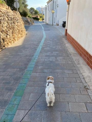 Altea Beachgate - Acceso Privado A La Playa 외부 사진